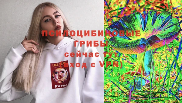 spice Алексин